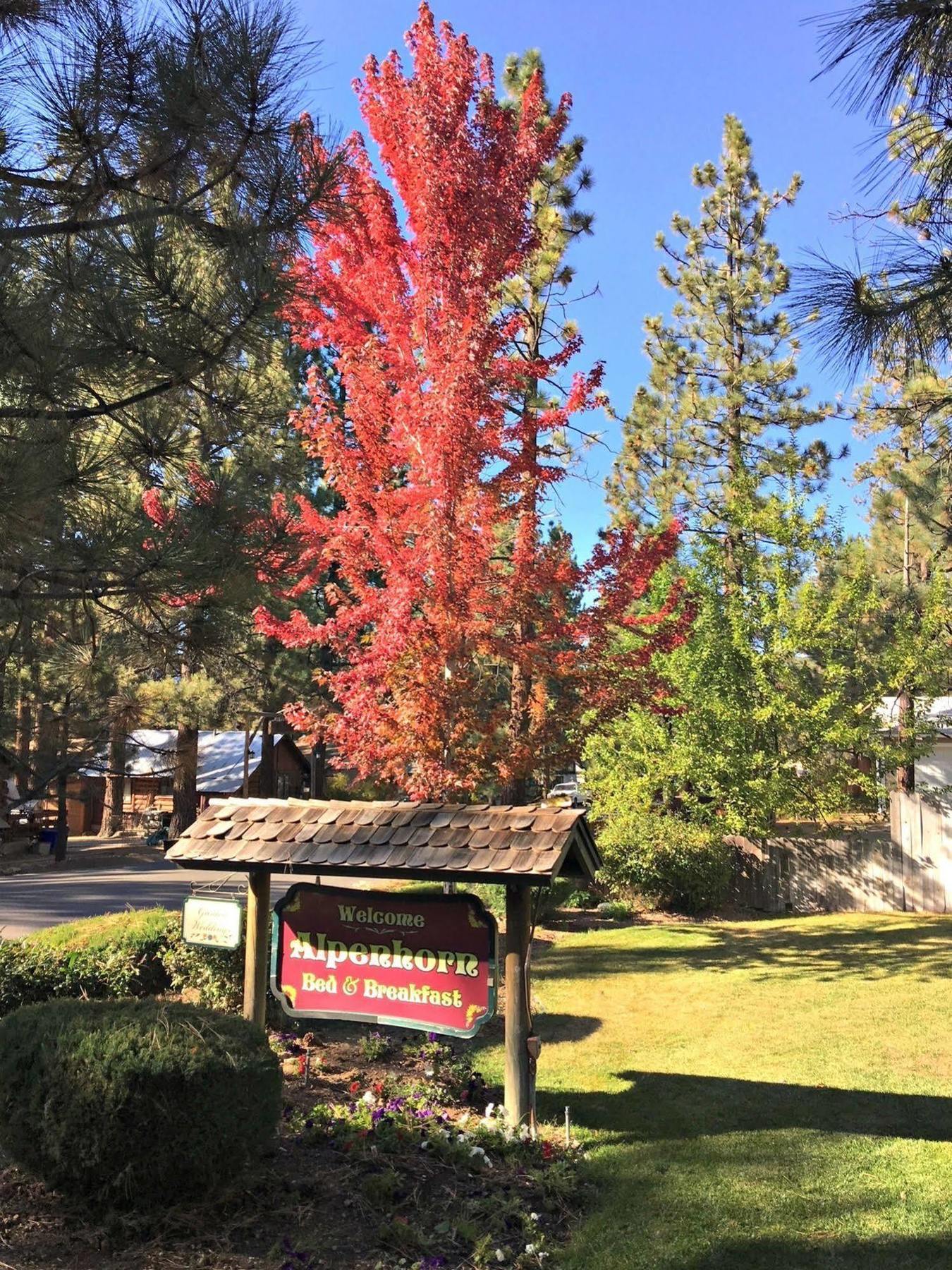 Alpenhorn Bed And Breakfast Big Bear Lake Exterior foto